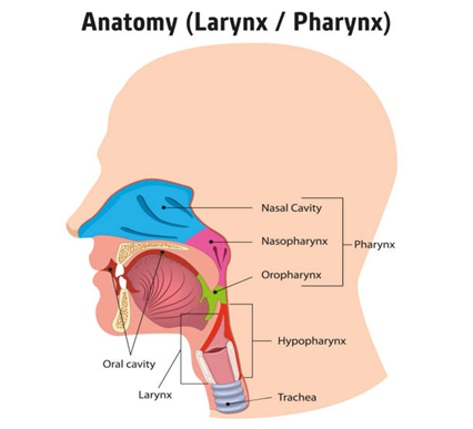 How Long Does Neck Tightness Last After Thyroidectomy?